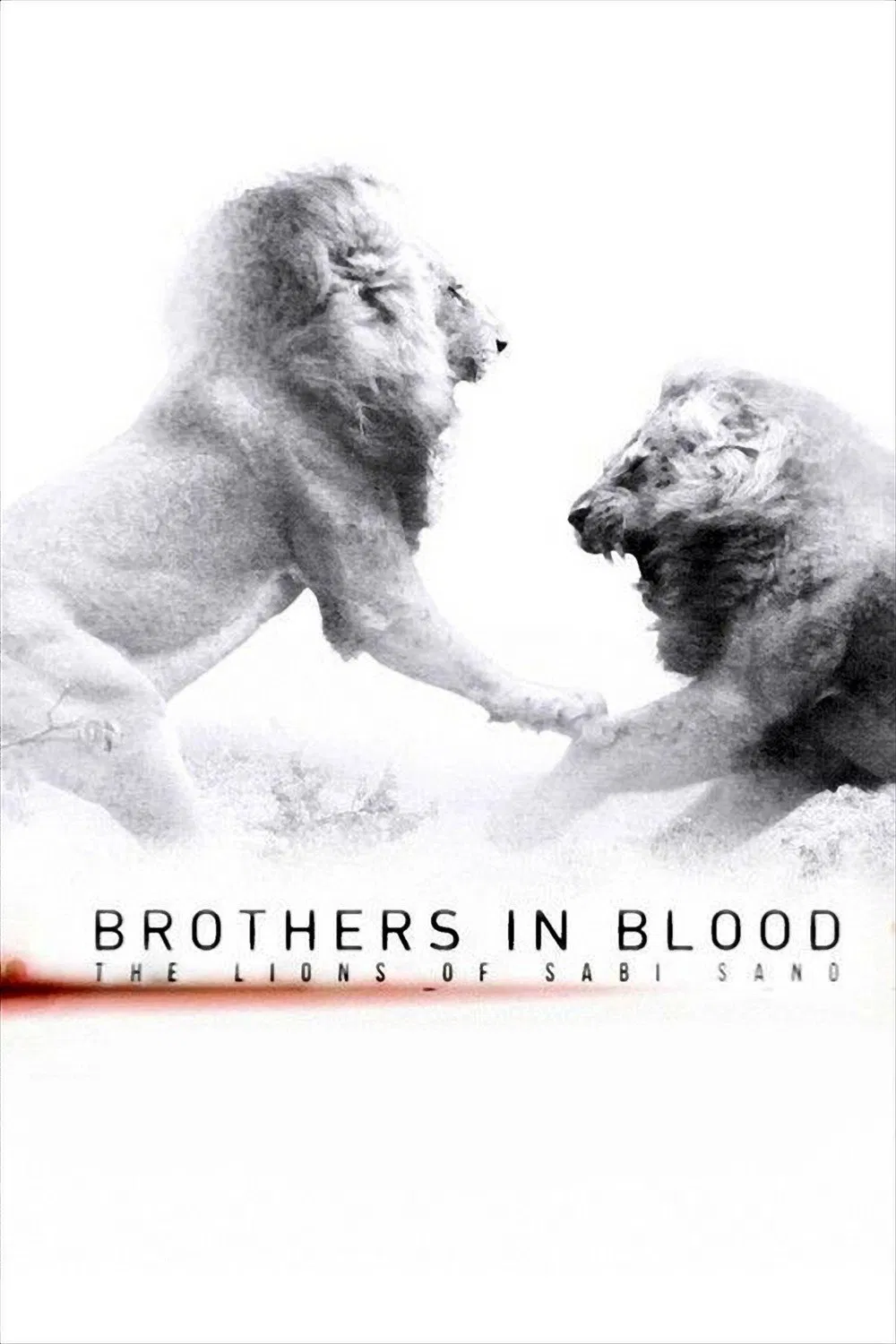 فيلم Brothers in Blood: The Lions of Sabi Sand 2015 مترجم