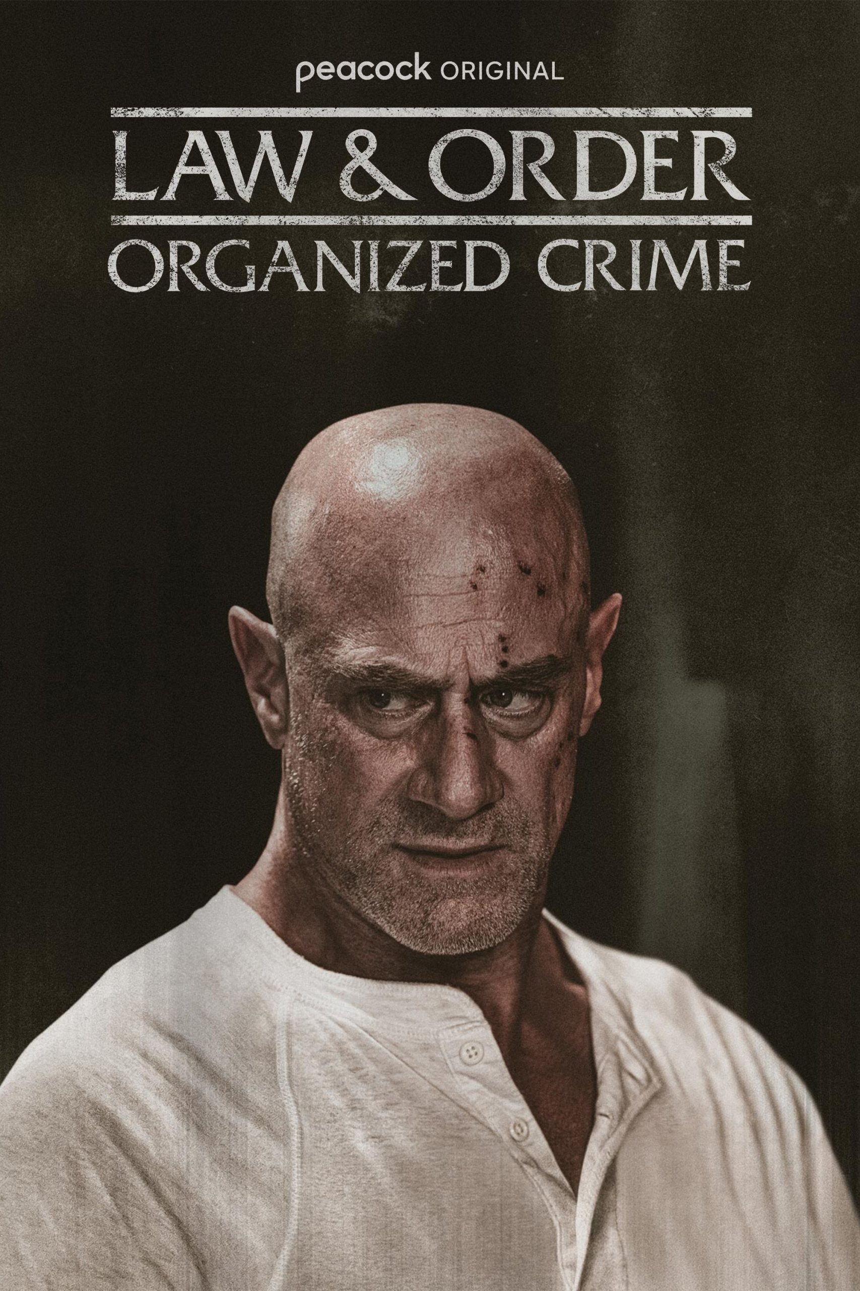 مسلسل Law & Order: Organized Crime موسم 5 حلقة 10