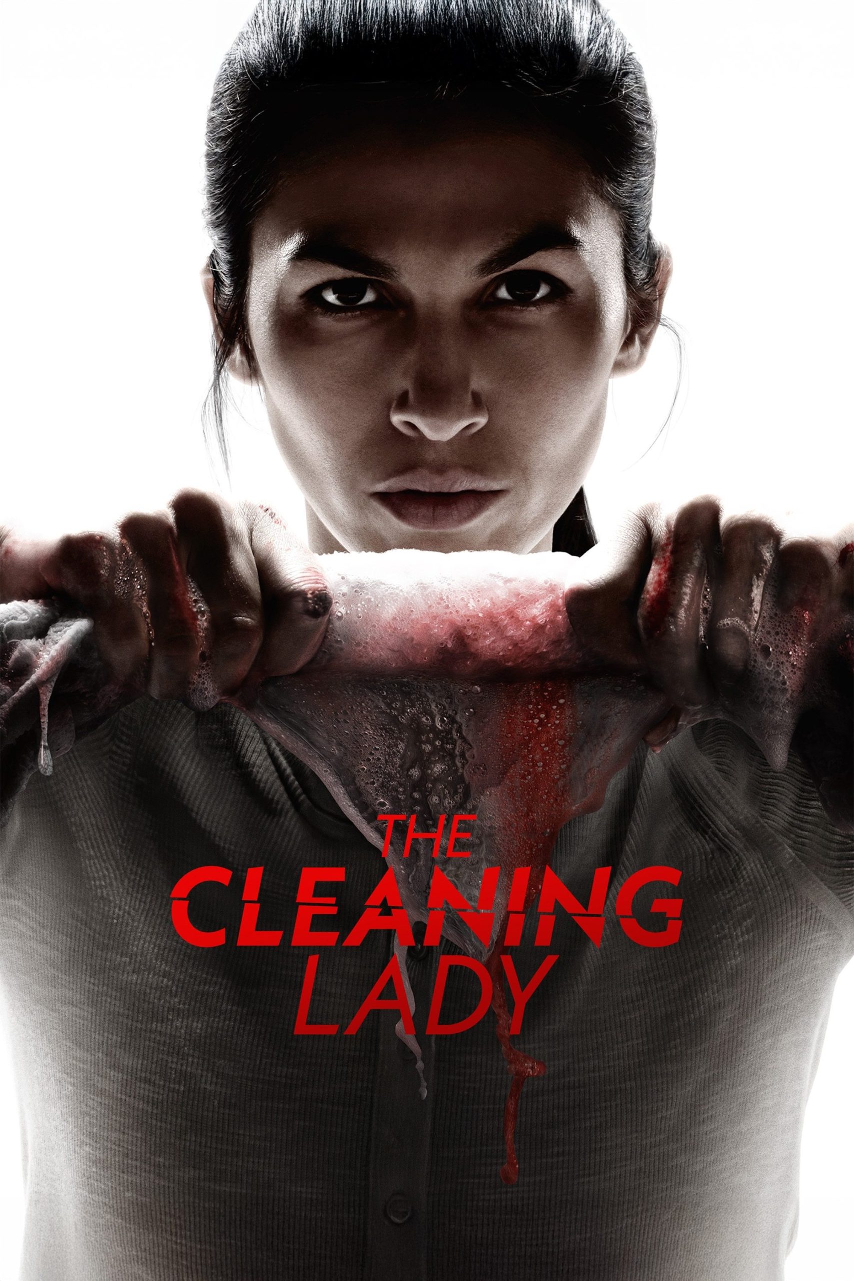 مسلسل The Cleaning Lady موسم 4 حلقة 12 والاخيرة